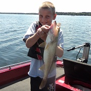 walleyes
