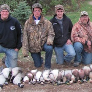 walleyes