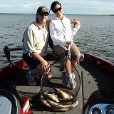 walleyes
