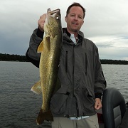 walleyes