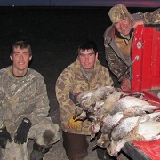 walleyes