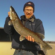 walleyes
