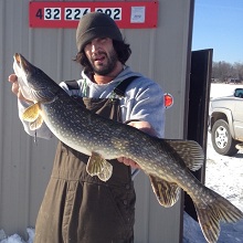 walleyes