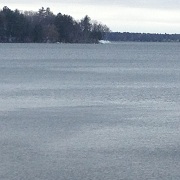 walleyes