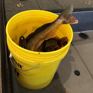Minnesota Fishing Guides