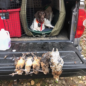 Gull Lake MN Fishing Guides