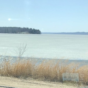 Gull Lake MN Fishing Guides