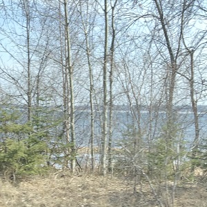 Minnesota Fishing Guides