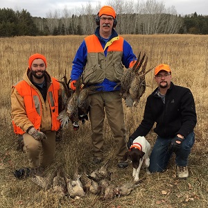 Minnesota German Shorthair