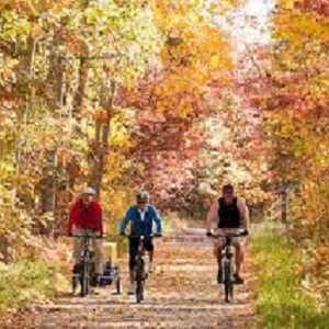 Brainerd MN Cabin Rental