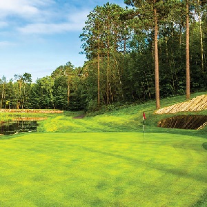 Brainerd Golfing Cabin
