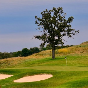Brainerd Golf Cabin
