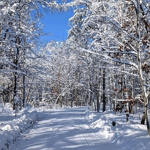 Brainerd Minnesota Cabin