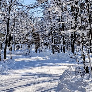 Brainerd MN Cabin Rental