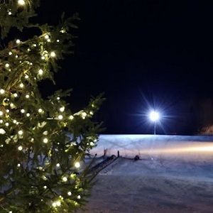 Brainerd Golf Cabin