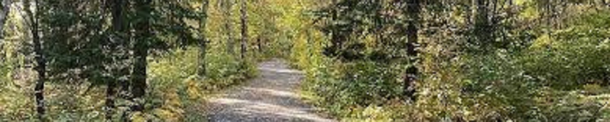 Cabin for Rent in Brainerd MN