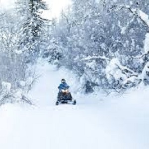 Brainerd VRBO Cabin