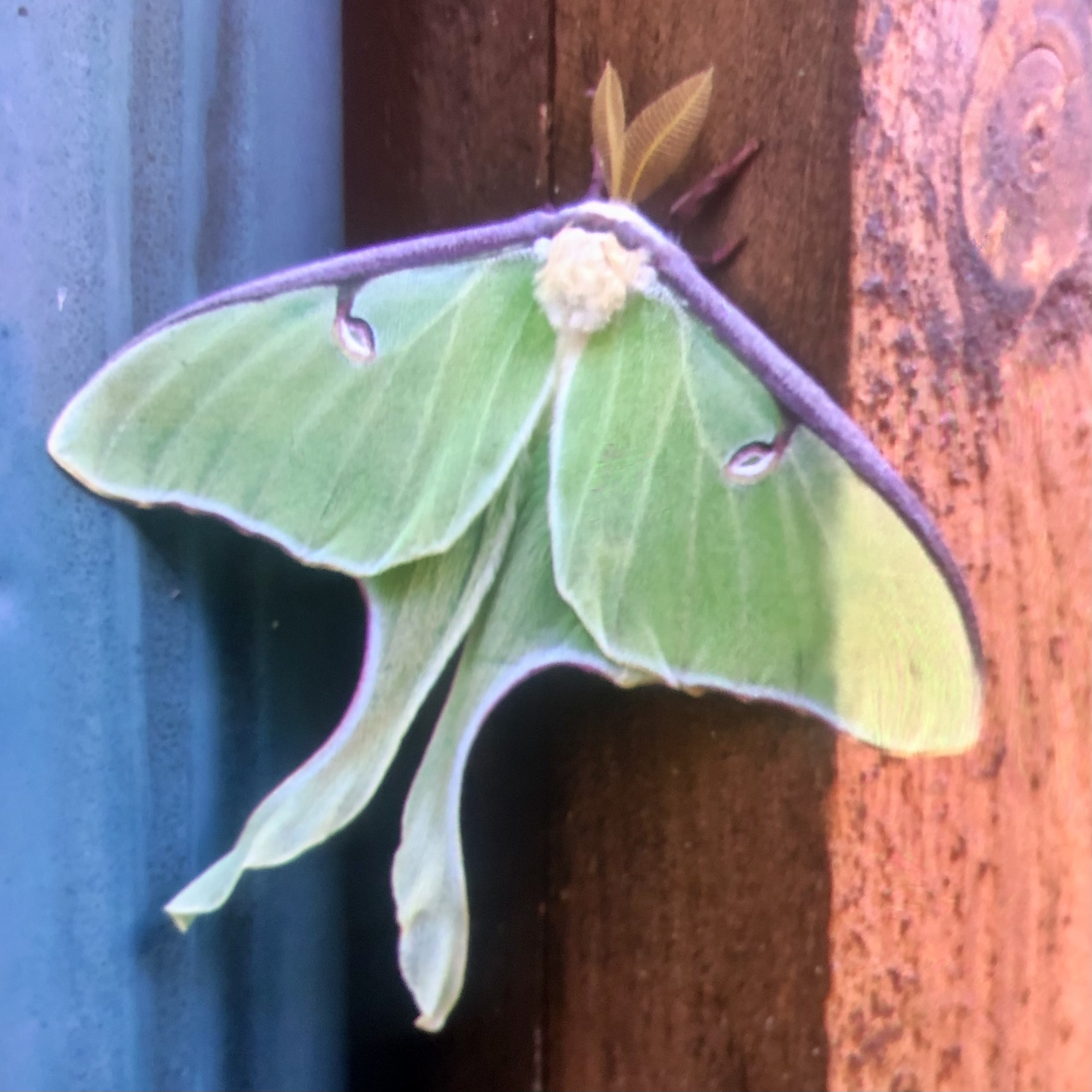 Brainerd Rental Cabin