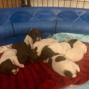 Brainerd fishing charter