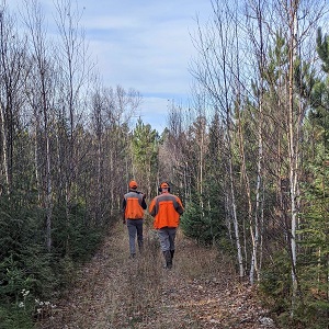 Minnesota Fishing Guides