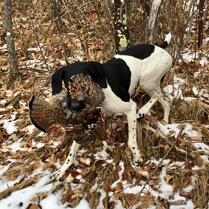 Brainerd MN Fishing Guides