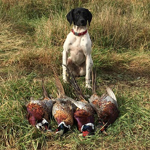 Brainerd Hunting Guides
