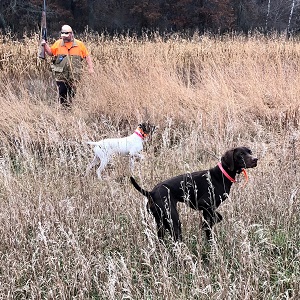 Brainerd fishing guide