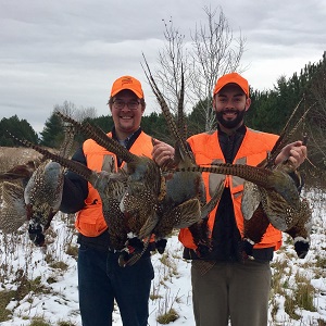Nisswa guide
