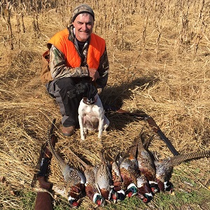 Nisswa guide