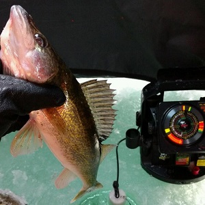 Minnesota Fishing Guides