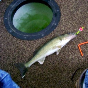 Nisswa MN Fishing Guides