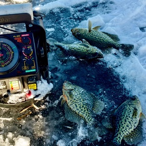 Brainerd MN Fishing Guides